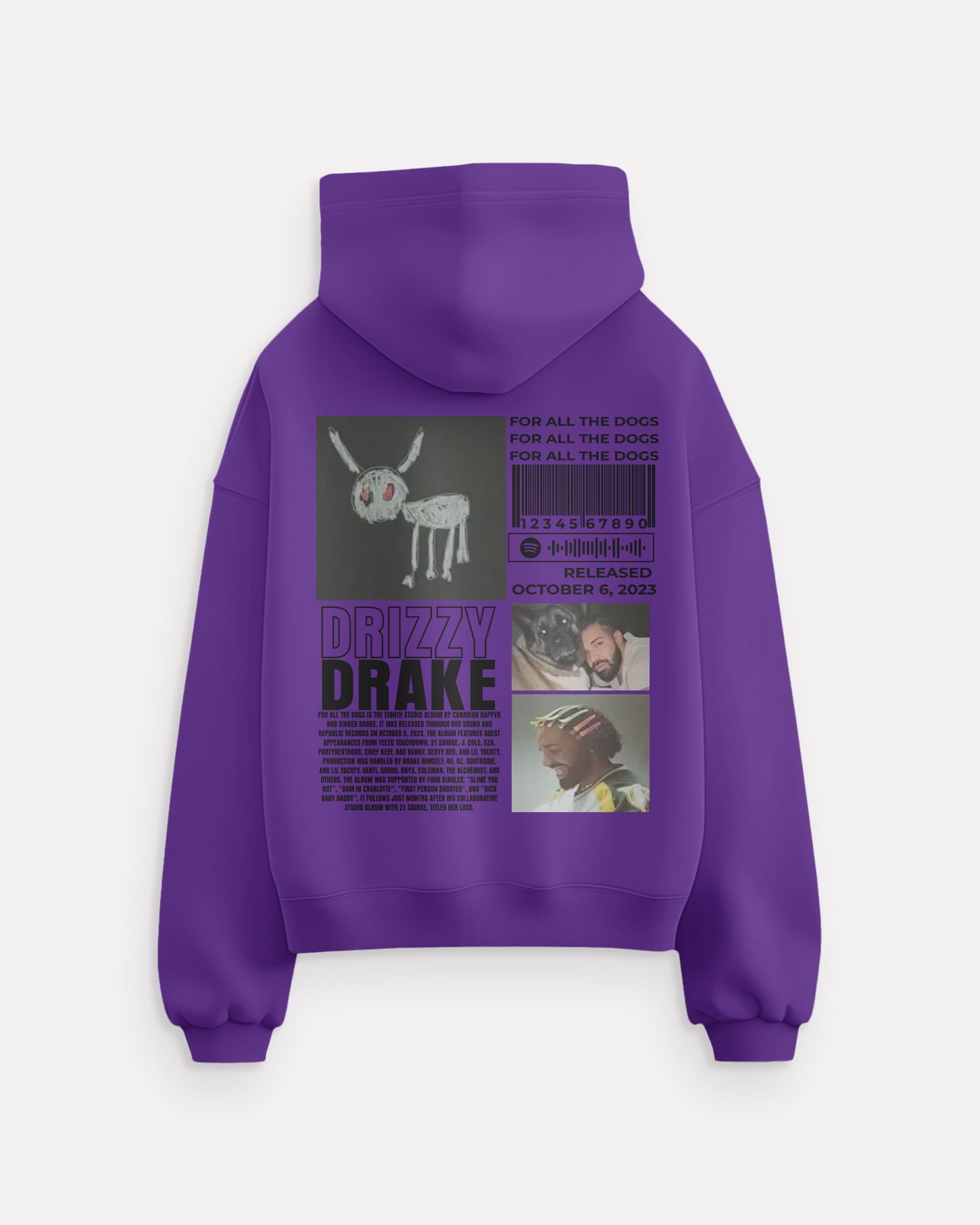 "Drizzy Drake" hoodie