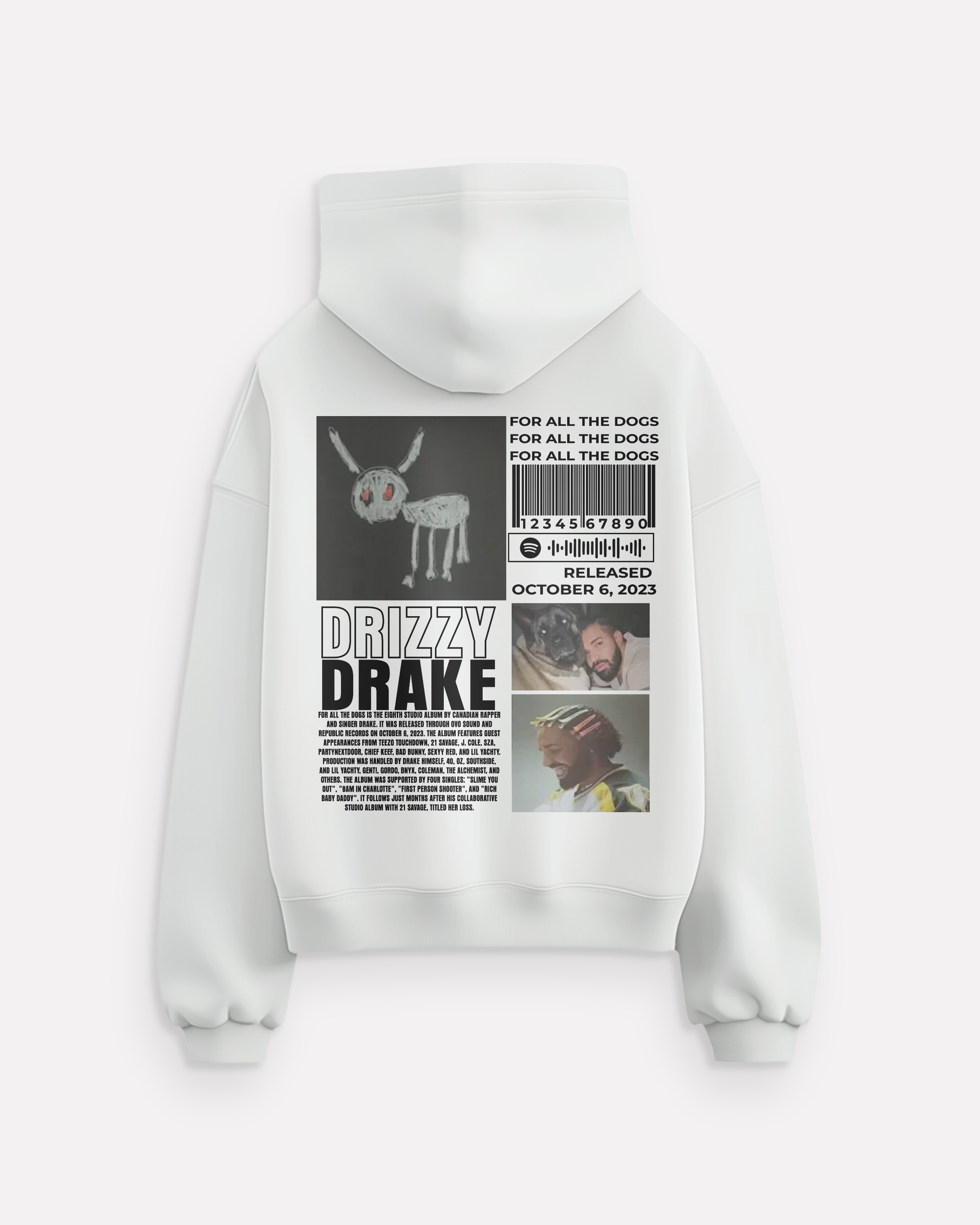 "Drizzy Drake" hoodie