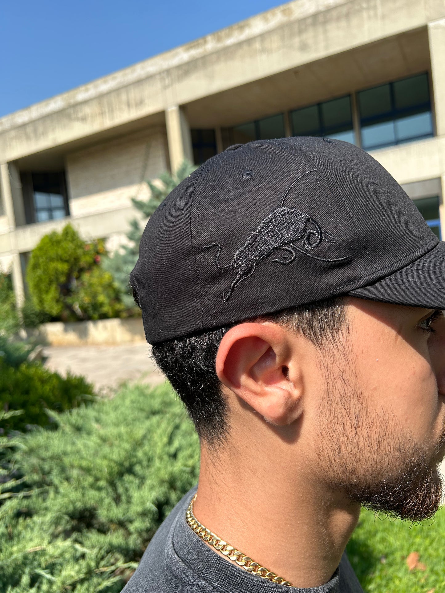 "Redbull Racing Black" cap